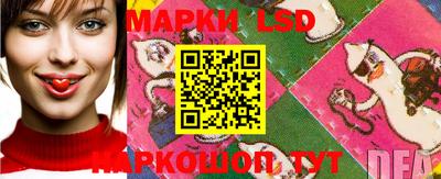 винт Кохма