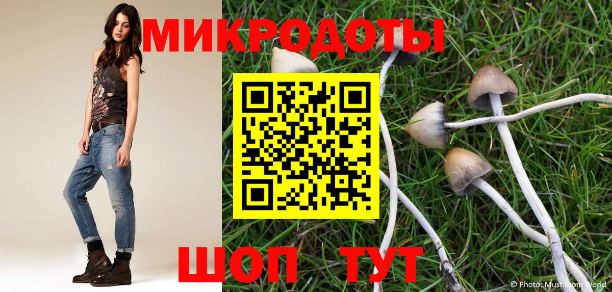Галлюциногенные грибы Psilocybe Можга
